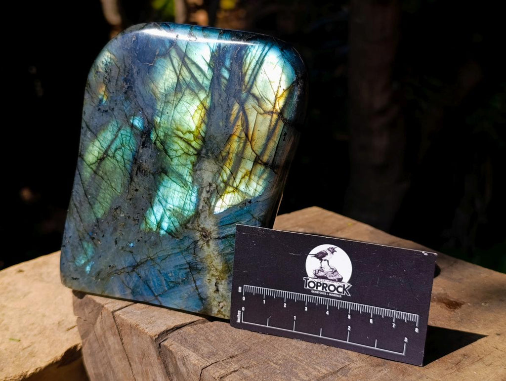 Polished Labradorite Standing Free Form x 1 From Tulear, Madagascar