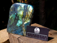 Polished Labradorite Standing Free Form x 1 From Tulear, Madagascar