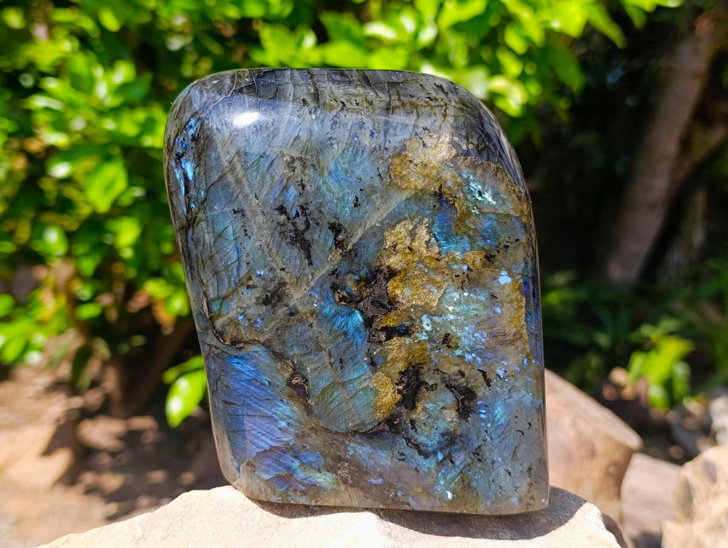 Polished Labradorite Standing Free Form x 1 From Tulear, Madagascar