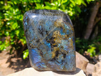 Polished Labradorite Standing Free Form x 1 From Tulear, Madagascar