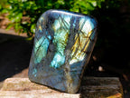 Polished Labradorite Standing Free Form x 1 From Tulear, Madagascar