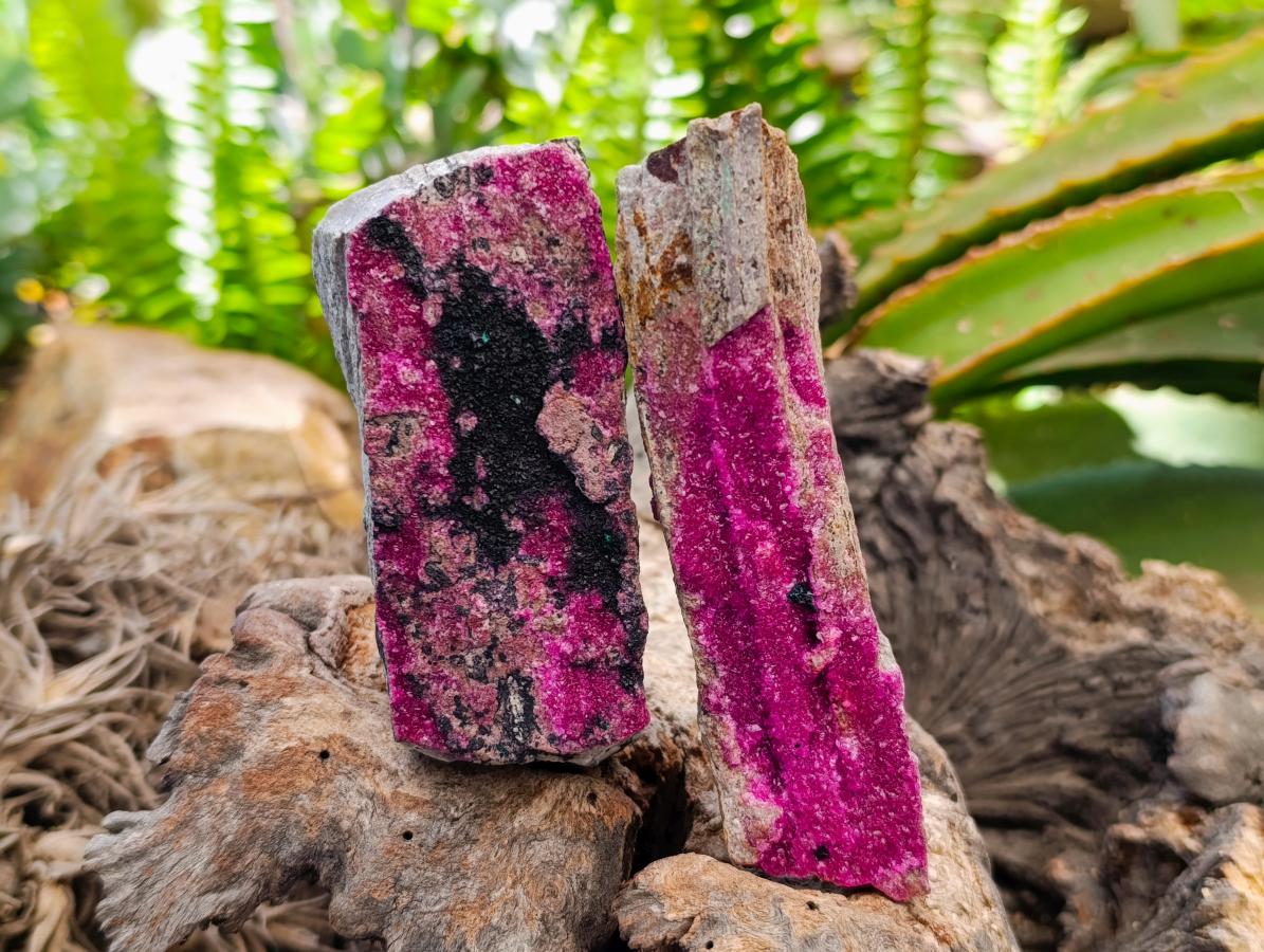 Natural Salrose Cobaltion Dolomite Specimens x 6 From Kakanda, Congo