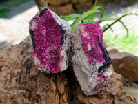 Natural Salrose Cobaltion Dolomite Specimens x 6 From Kakanda, Congo