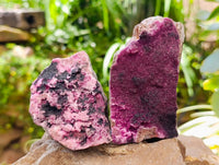 Natural Salrose Cobaltion Dolomite Specimens x 6 From Kakanda, Congo