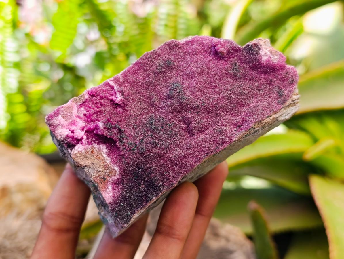 Natural Salrose Cobaltion Dolomite Specimens x 6 From Kakanda, Congo