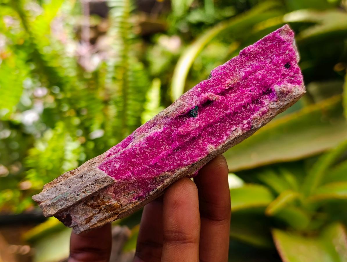 Natural Salrose Cobaltion Dolomite Specimens x 6 From Kakanda, Congo