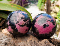 Polished Rhodonite Spheres x 2 From Ambindavato, Madagascar