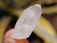 Natural Mine Run Clear Quartz Crystals x 2,99 Kg Lot From Ambatofinandrahana, Madagascar