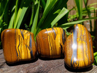 Polished Jumbo Golden Tigers Eye with Banded Iron Stone Free Forms x 3 From Prieska, South Africa