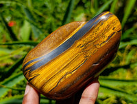 Polished Jumbo Golden Tigers Eye with Banded Iron Stone Free Forms x 3 From Prieska, South Africa