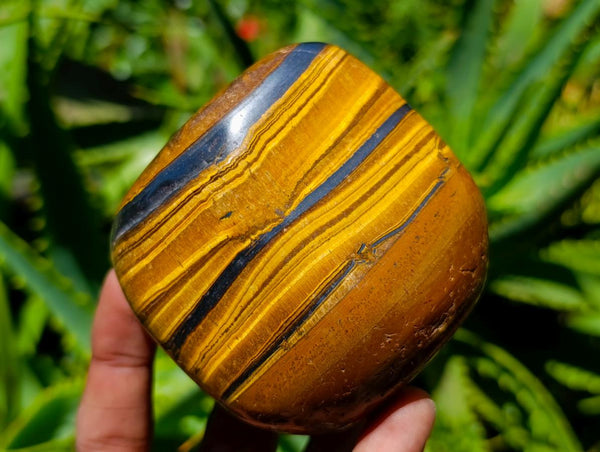 Polished Jumbo Golden Tigers Eye with Banded Iron Stone Free Forms x 3 From Prieska, South Africa
