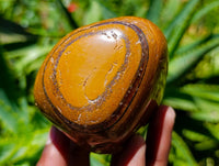 Polished Jumbo Golden Tigers Eye with Banded Iron Stone Free Forms x 3 From Prieska, South Africa