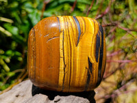 Polished Jumbo Golden Tigers Eye with Banded Iron Stone Free Forms x 3 From Prieska, South Africa