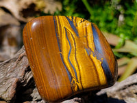 Polished Jumbo Golden Tigers Eye with Banded Iron Stone Free Forms x 3 From Prieska, South Africa