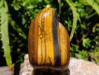 Polished Jumbo Golden Tigers Eye with Banded Iron Stone Free Forms x 3 From Prieska, South Africa
