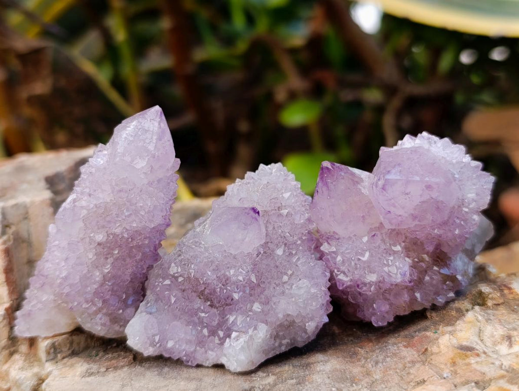 Natural Sunburst Amethyst Spirit Clusters x 12 From Boekenhouthoek, South Africa
