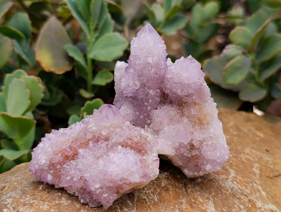 Natural Sunburst Amethyst Spirit Clusters x 12 From Boekenhouthoek, South Africa