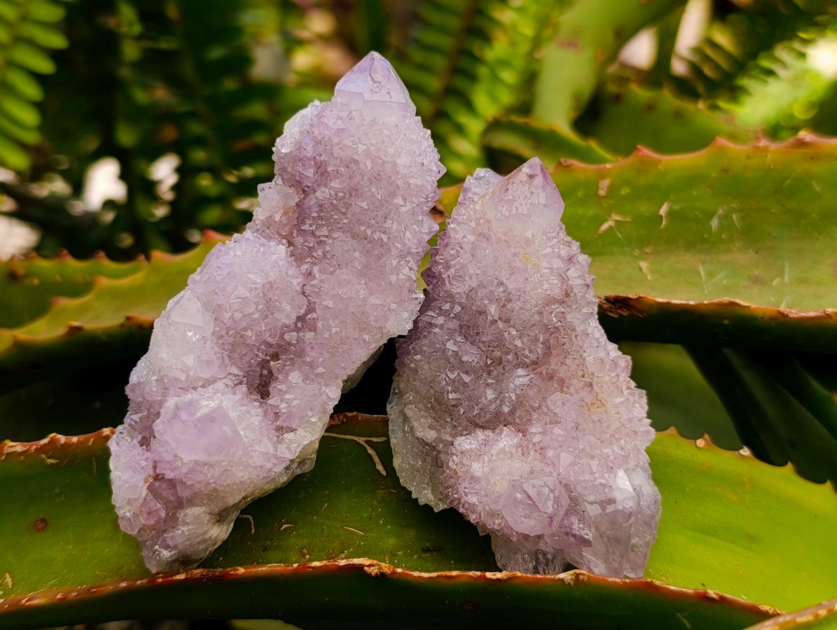 Natural Sunburst Amethyst Spirit Clusters x 12 From Boekenhouthoek, South Africa
