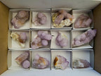 Natural Sunburst Amethyst Spirit Clusters x 12 From Boekenhouthoek, South Africa