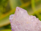 Natural Sunburst Amethyst Spirit Clusters x 12 From Boekenhouthoek, South Africa