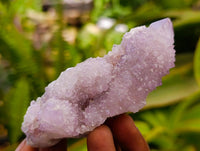 Natural Sunburst Amethyst Spirit Clusters x 12 From Boekenhouthoek, South Africa