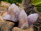 Natural Sunburst Amethyst Spirit Clusters x 12 From Boekenhouthoek, South Africa