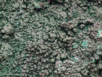 Natural Crystalline Botryoidal Malachite Specimens x 2 From Congo