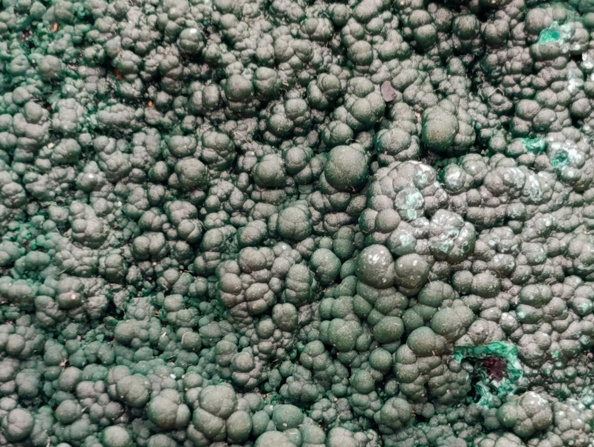 Natural Crystalline Botryoidal Malachite Specimens x 2 From Congo