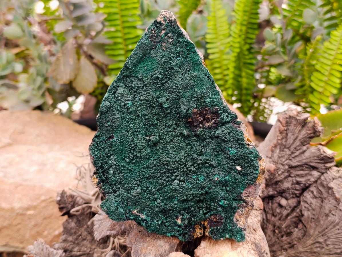 Natural Crystalline Botryoidal Malachite Specimens x 2 From Congo