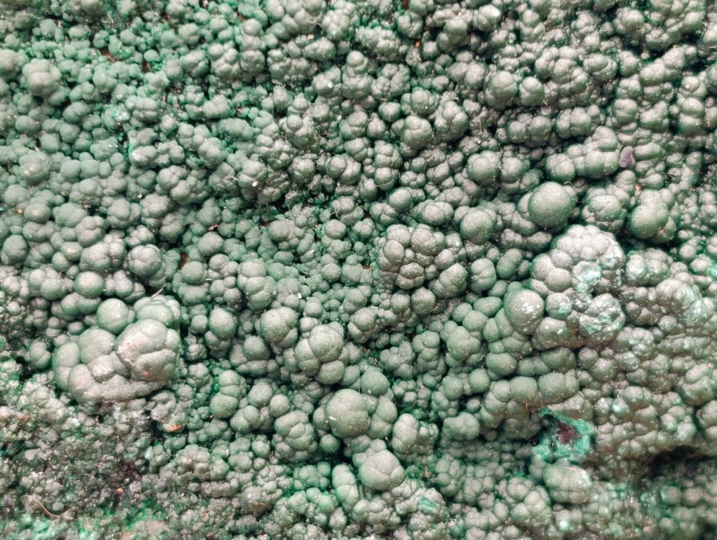 Natural Crystalline Botryoidal Malachite Specimens x 2 From Congo