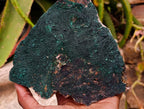 Natural Crystalline Botryoidal Malachite Specimens x 2 From Congo