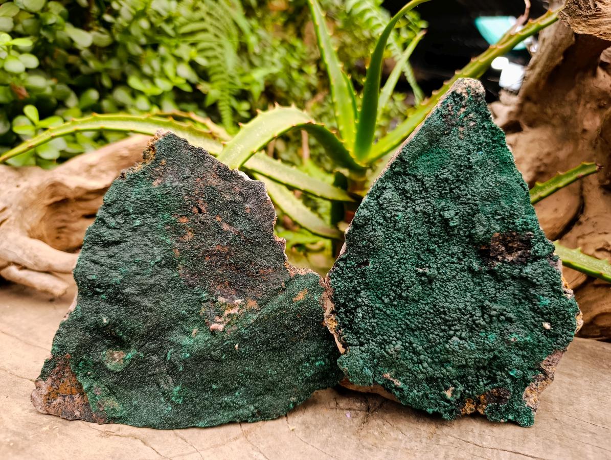 Natural Crystalline Botryoidal Malachite Specimens x 2 From Congo