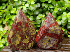 Polished Bastite Dragonsblood Stone Crystals x 2 From Tshipise, South Africa