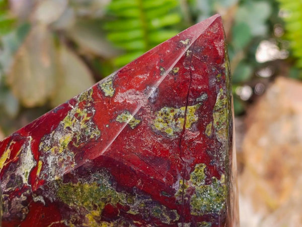 Polished Bastite Dragonsblood Stone Crystals x 2 From Tshipise, South Africa