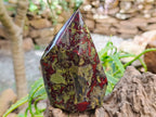 Polished Bastite Dragonsblood Stone Crystals x 2 From Tshipise, South Africa