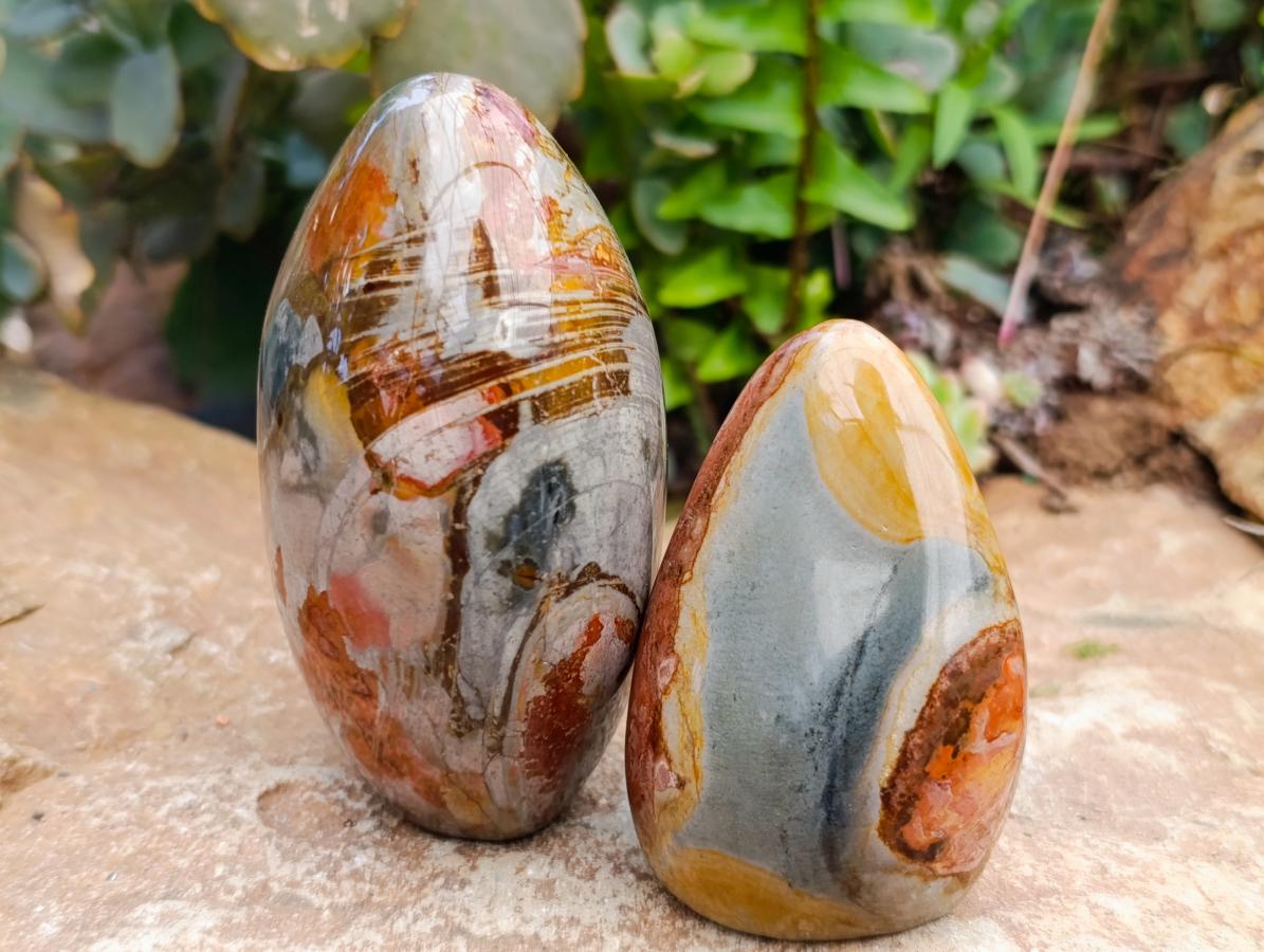 Polished Polychrome Jasper Standing Free Forms x 6 From NW Coast, Madagascar