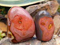 Polished Polychrome Jasper Standing Free Forms x 6 From NW Coast, Madagascar