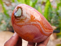 Polished Polychrome Jasper Standing Free Forms x 6 From NW Coast, Madagascar
