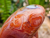 Polished Polychrome Jasper Standing Free Forms x 6 From NW Coast, Madagascar