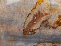 Polished Polychrome Jasper Standing Free Forms x 6 From NW Coast, Madagascar