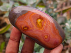 Polished Polychrome Jasper Standing Free Forms x 6 From NW Coast, Madagascar