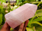 Polished Rose Quartz Crystals x 2 From Madagascar