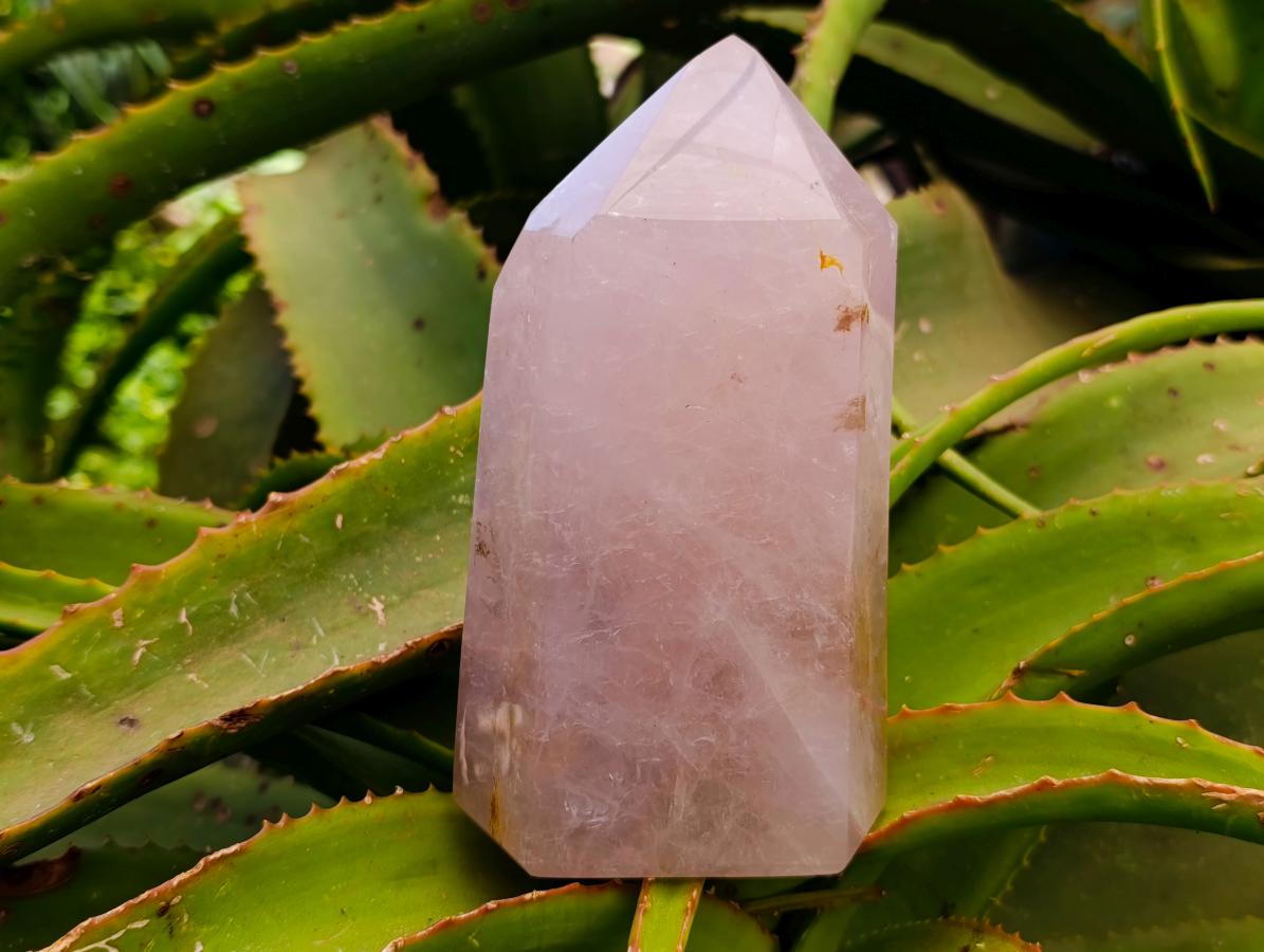 Polished Rose Quartz Crystals x 2 From Madagascar