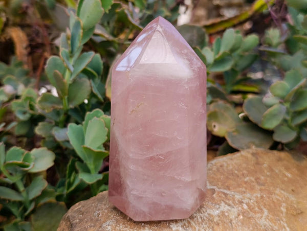 Polished Rose Quartz Crystals x 2 From Madagascar