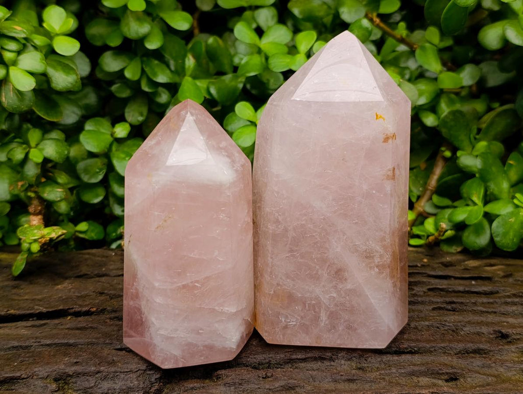 Polished Rose Quartz Crystals x 2 From Madagascar