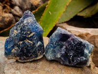 Natural Watermelon Fluorite Cobbed Specimens x 24 From Uis, Namibia