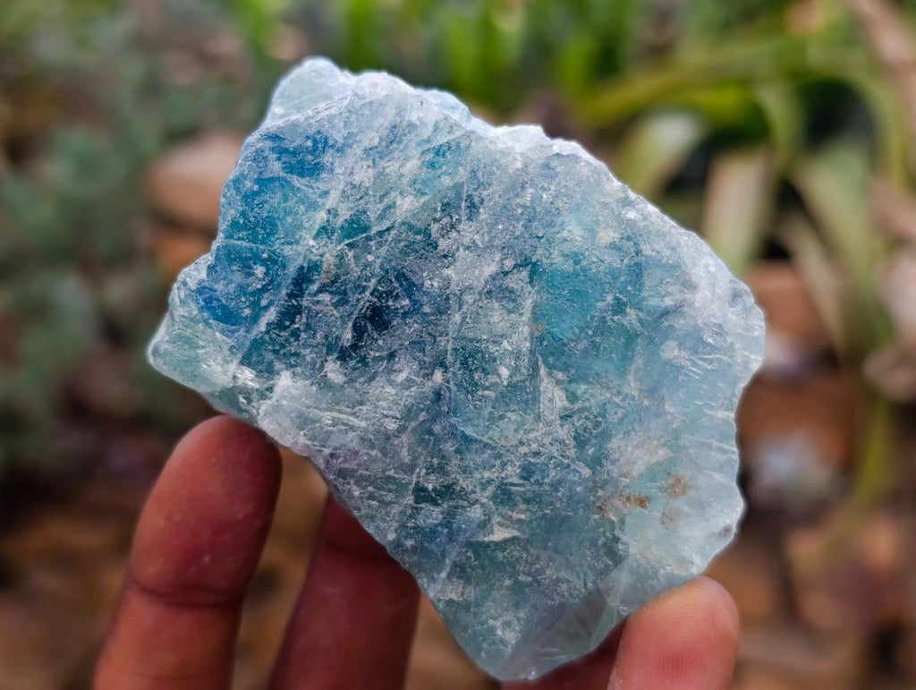 Natural Watermelon Fluorite Cobbed Specimens x 24 From Uis, Namibia