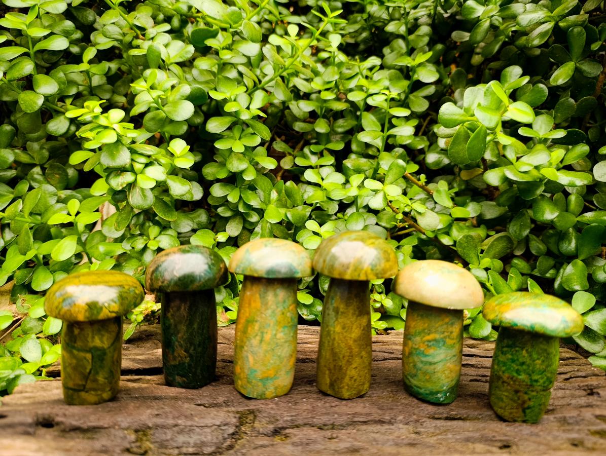 Polished Verdite Mushrooms x 6 From Zimbabwe