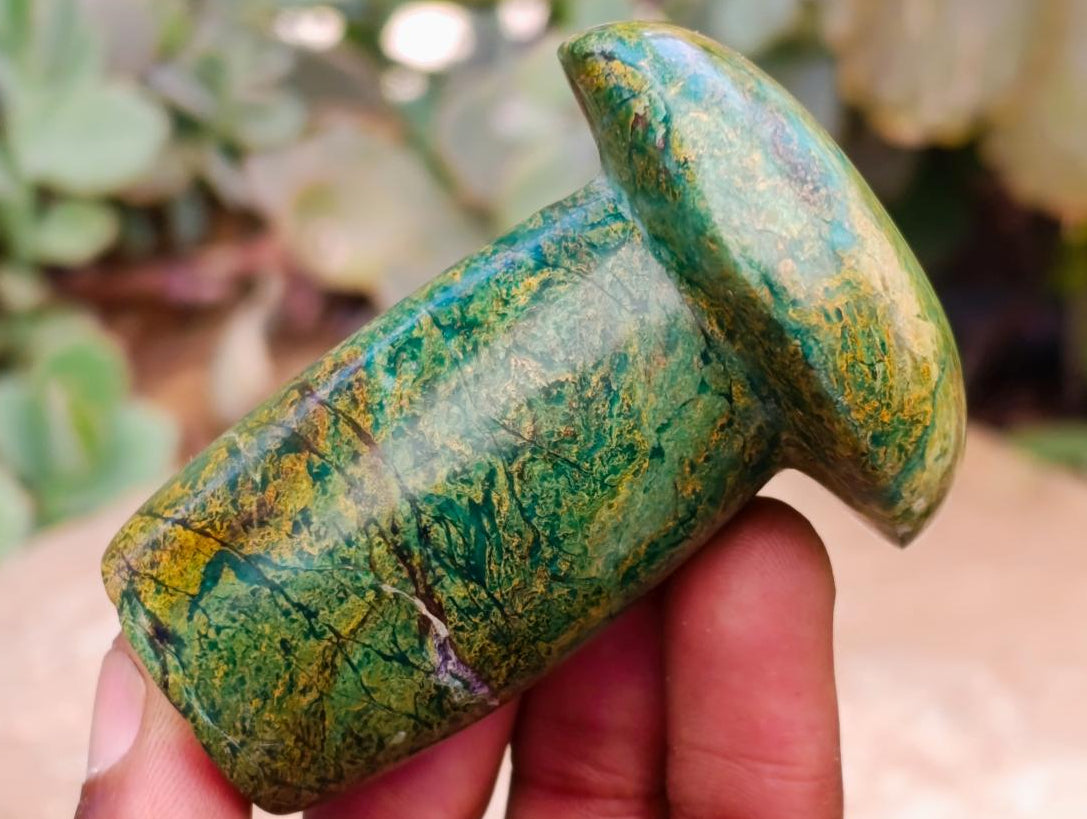 Polished Verdite Mushrooms x 6 From Zimbabwe