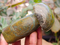 Polished Verdite Mushrooms x 6 From Zimbabwe
